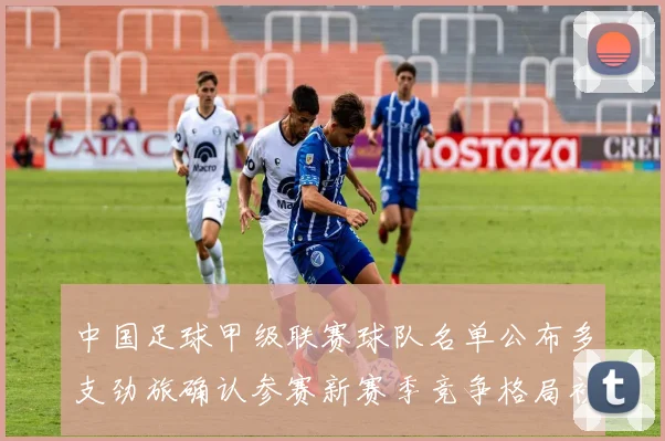 中国足球甲级联赛球队名单公布多支劲旅确认参赛新赛季竞争格局初显