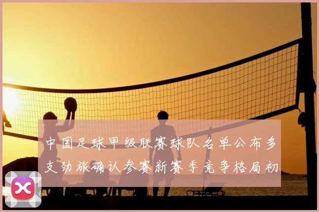 中国足球甲级联赛球队名单公布多支劲旅确认参赛新赛季竞争格局初显