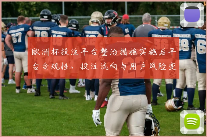 欧洲杯投注平台整治措施实施后平台合规性、投注流向与用户风险变化